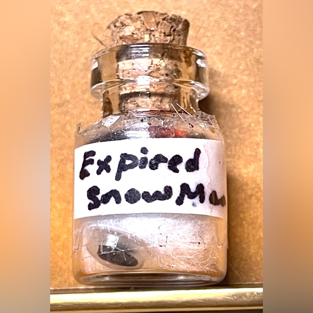Expired SnowMan